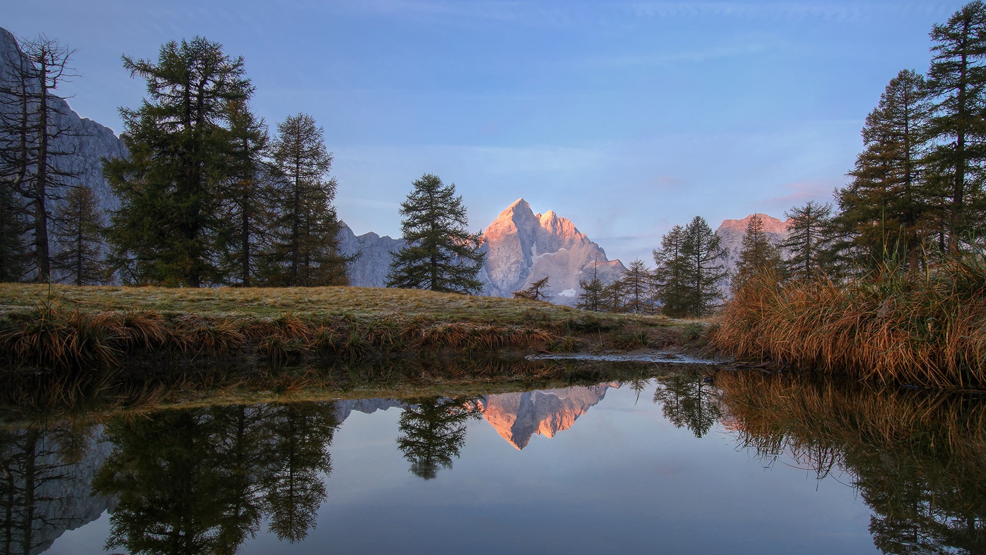 lep dan bo by stefan