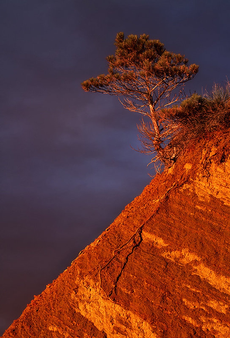 Diagonala by stefan