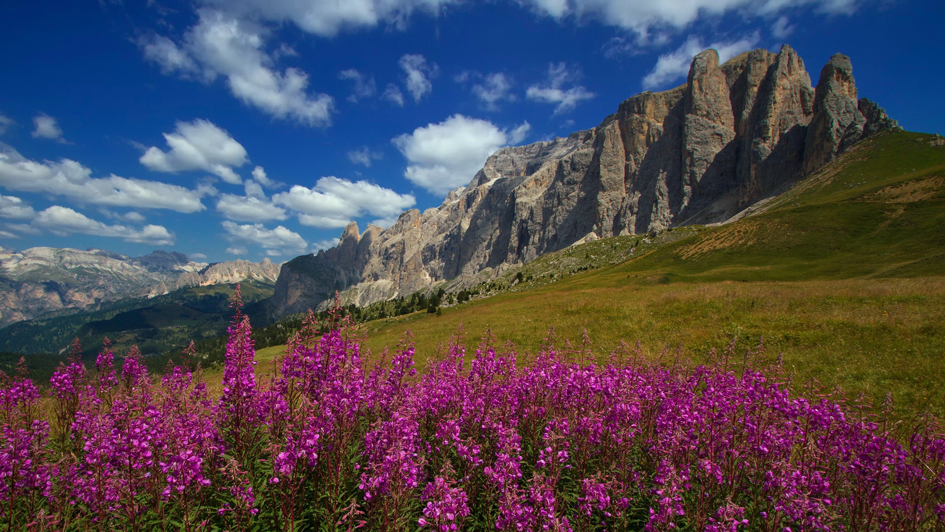 Dolomiti by stefan