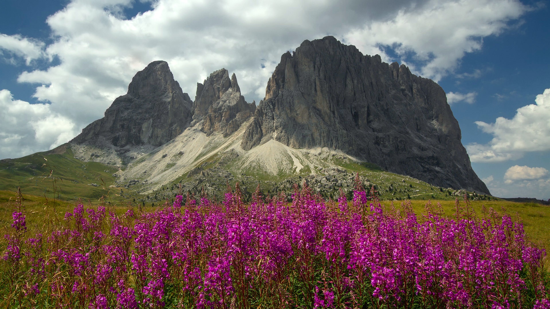 Sassolungo by stefan