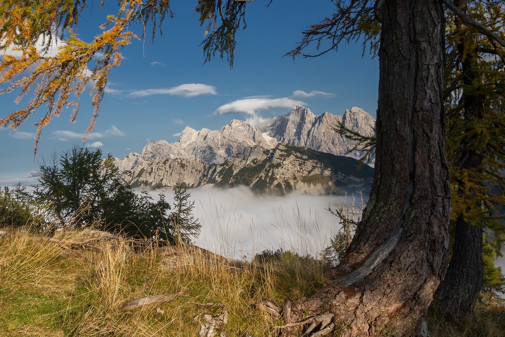 Pogled skozi okno by stefan