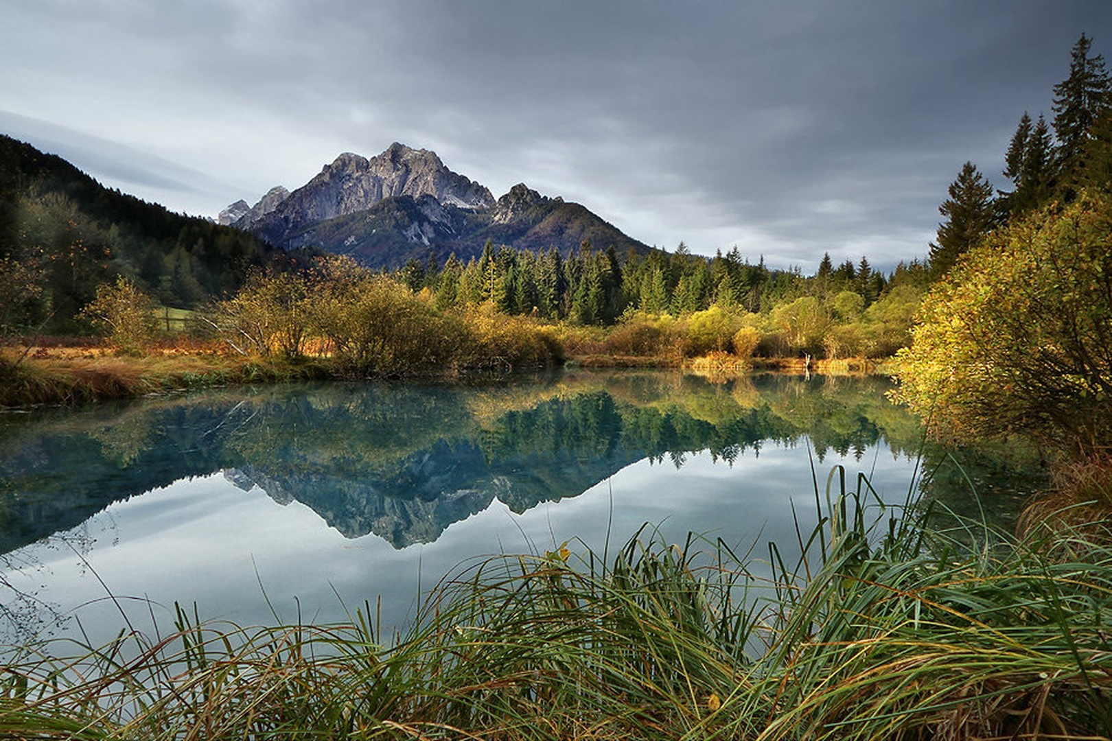 Zelenci by stefan