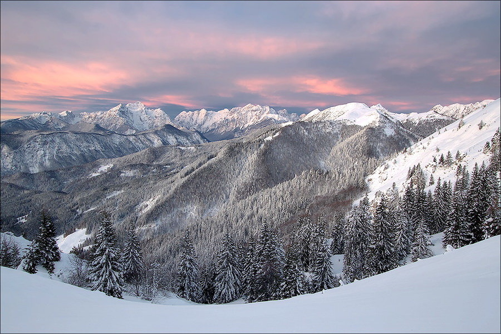 jutro by stefan