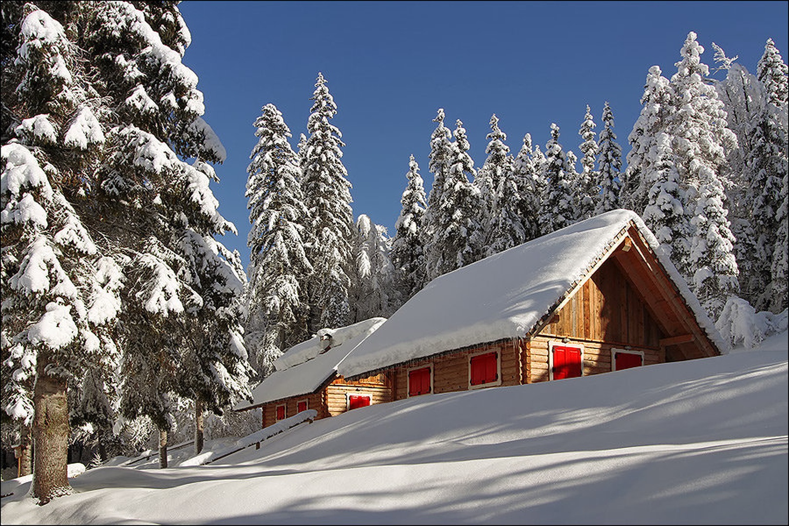 zimska pravljica by stefan