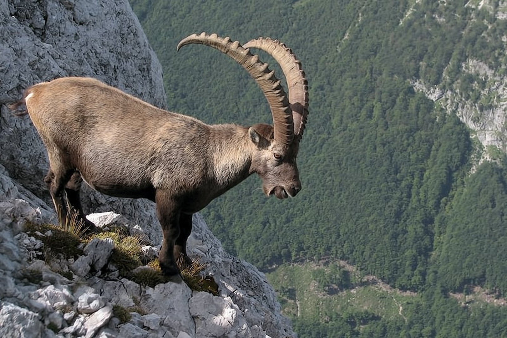 pogled v dolino by stefan