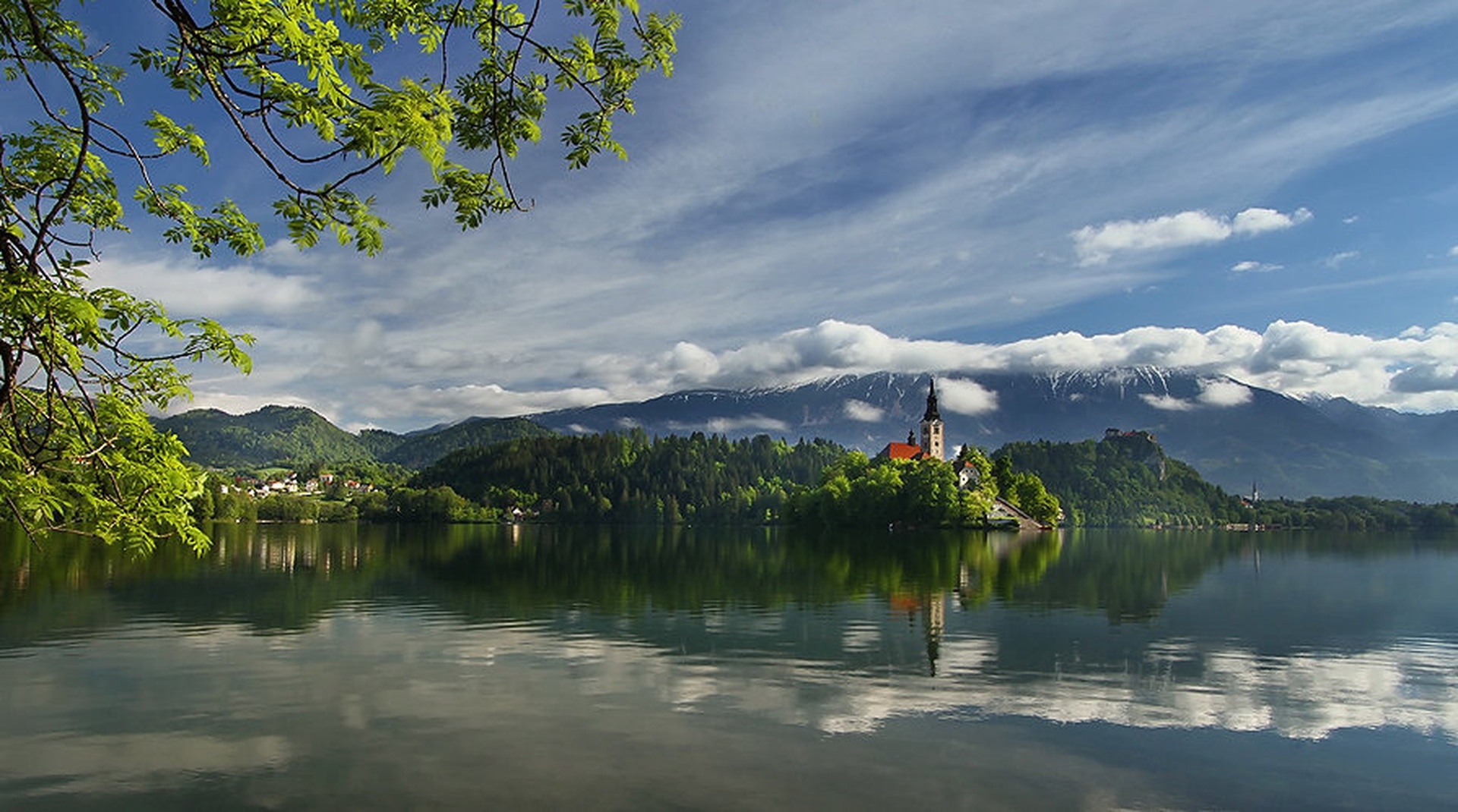 pomlad by stefan