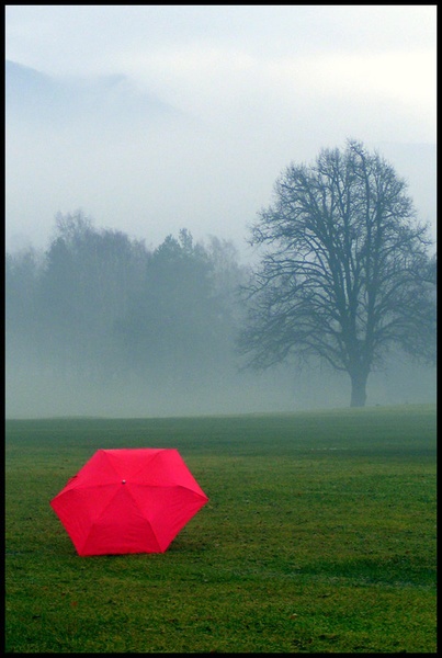 Let it rain..... by Mateja Purnat