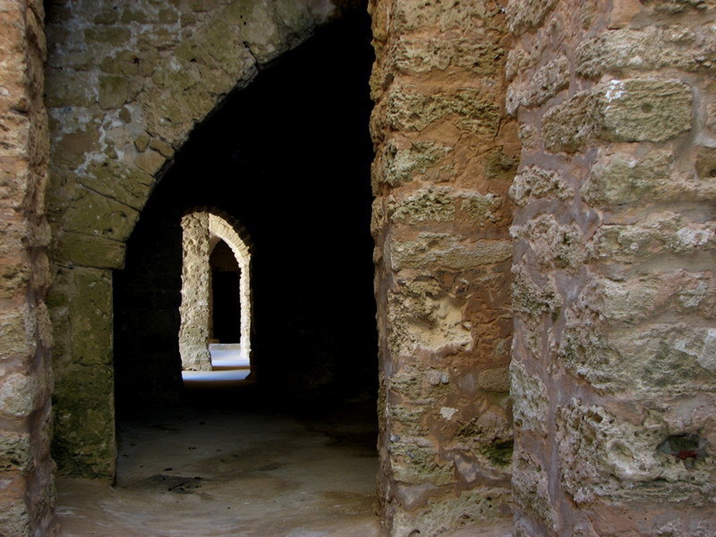 zidovi by