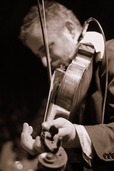 Violinist by Žiga Logar