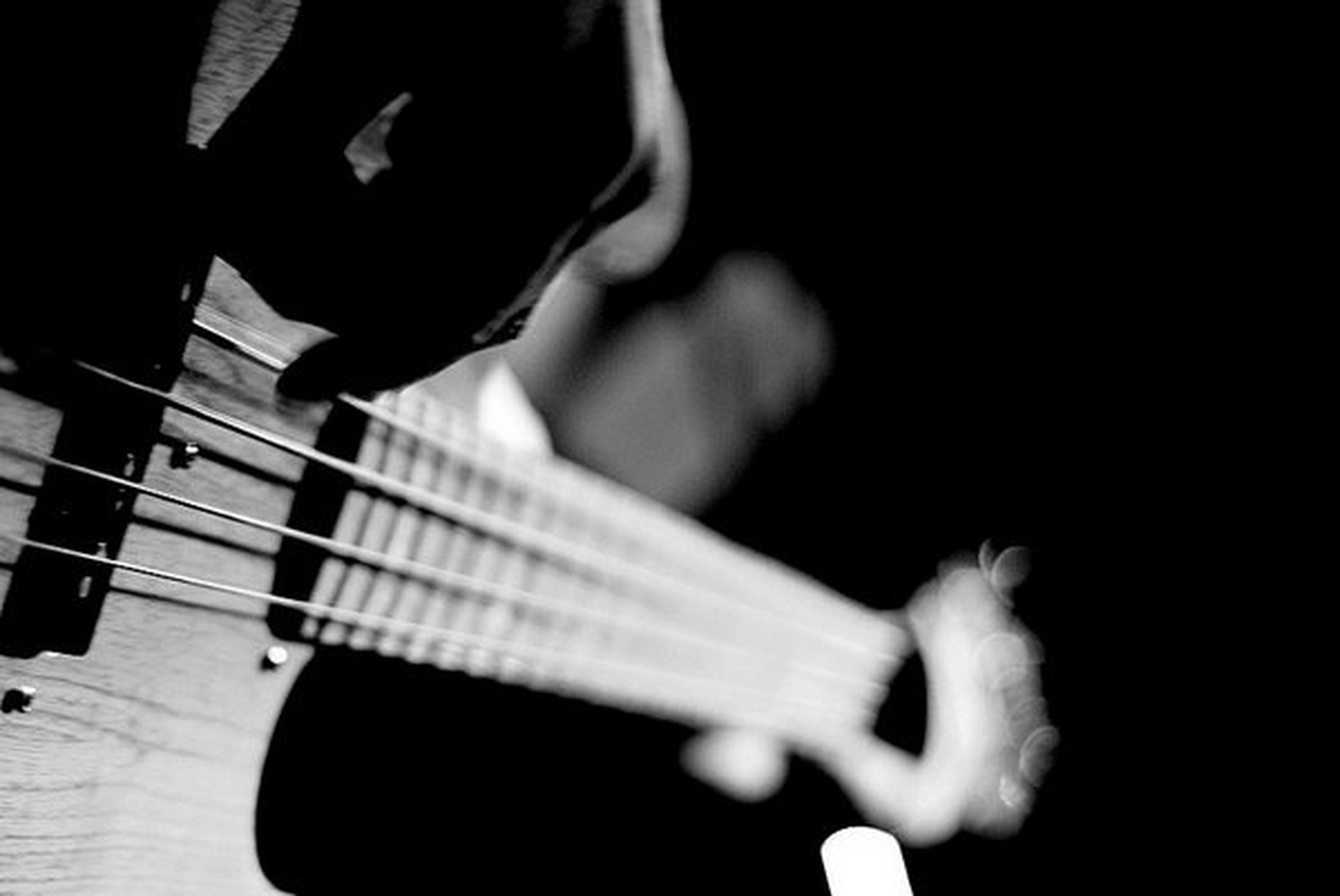 Bass by Žiga Logar