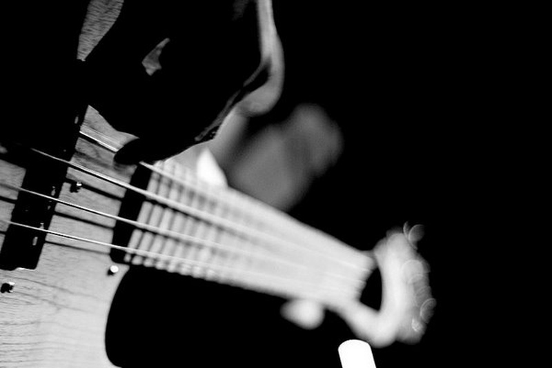 Bass by Žiga Logar