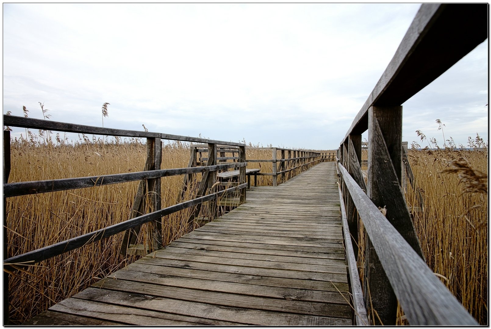 Federsee by chianti