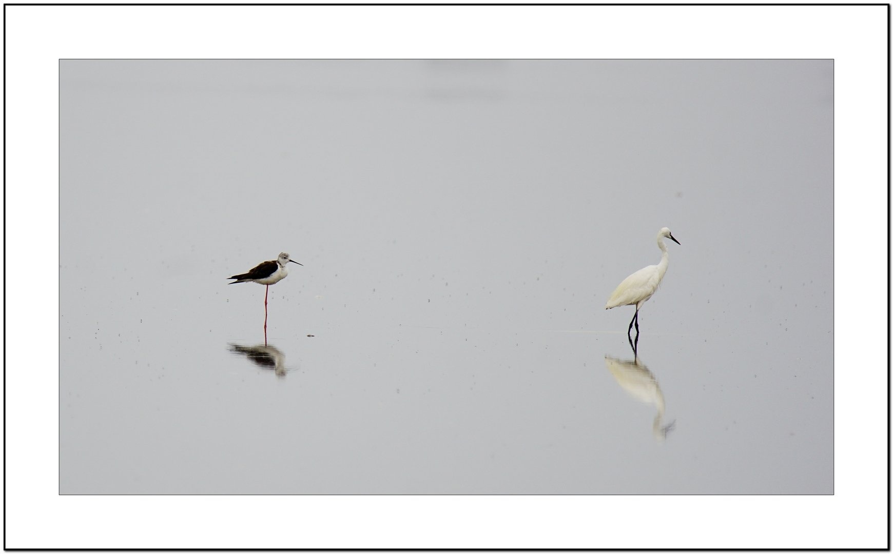 Neusiedler-Jezero by chianti