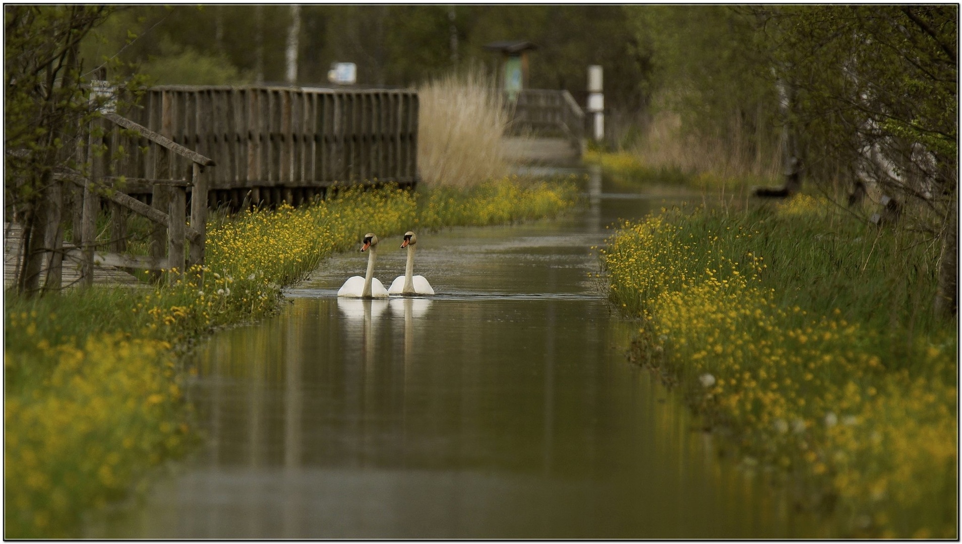 Poplave! by chianti