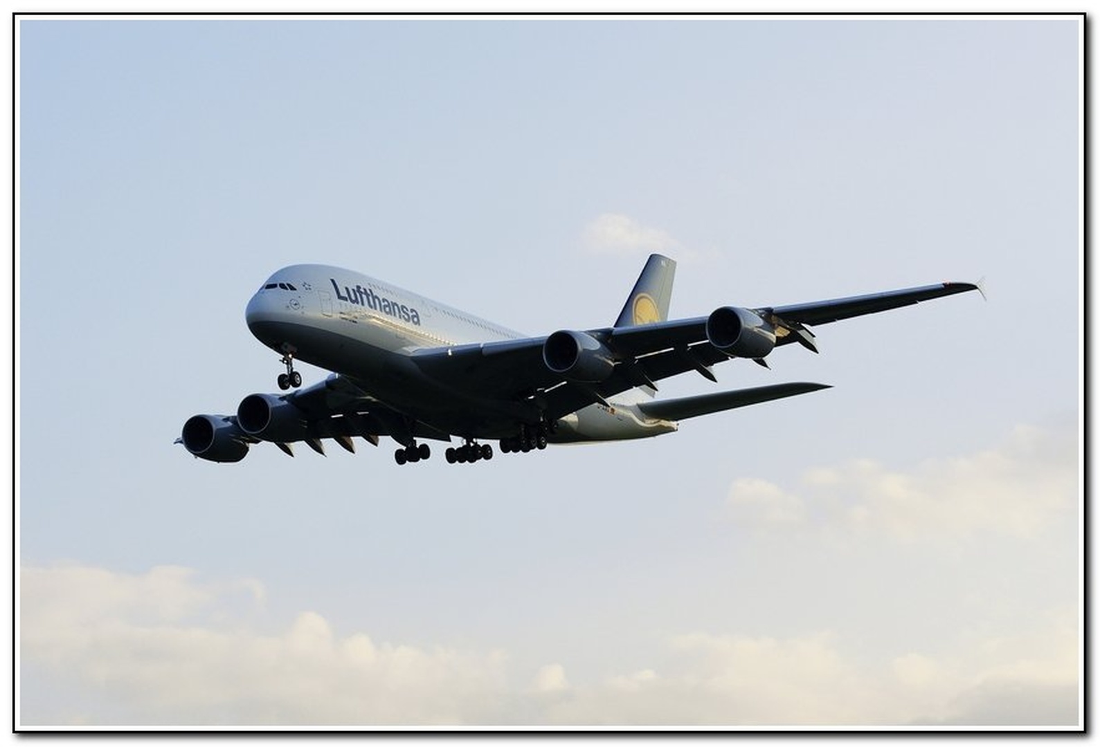 Airbus 380!! by chianti