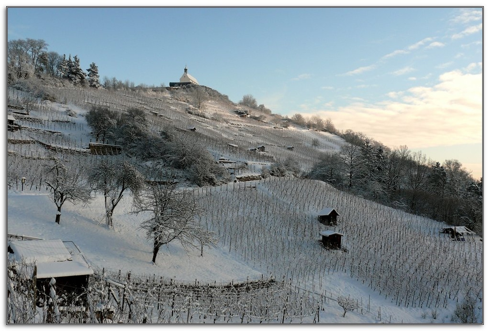 Zima! by chianti