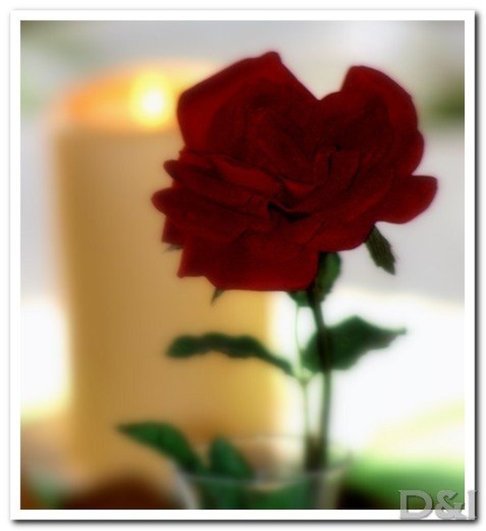 decorations by D&I
