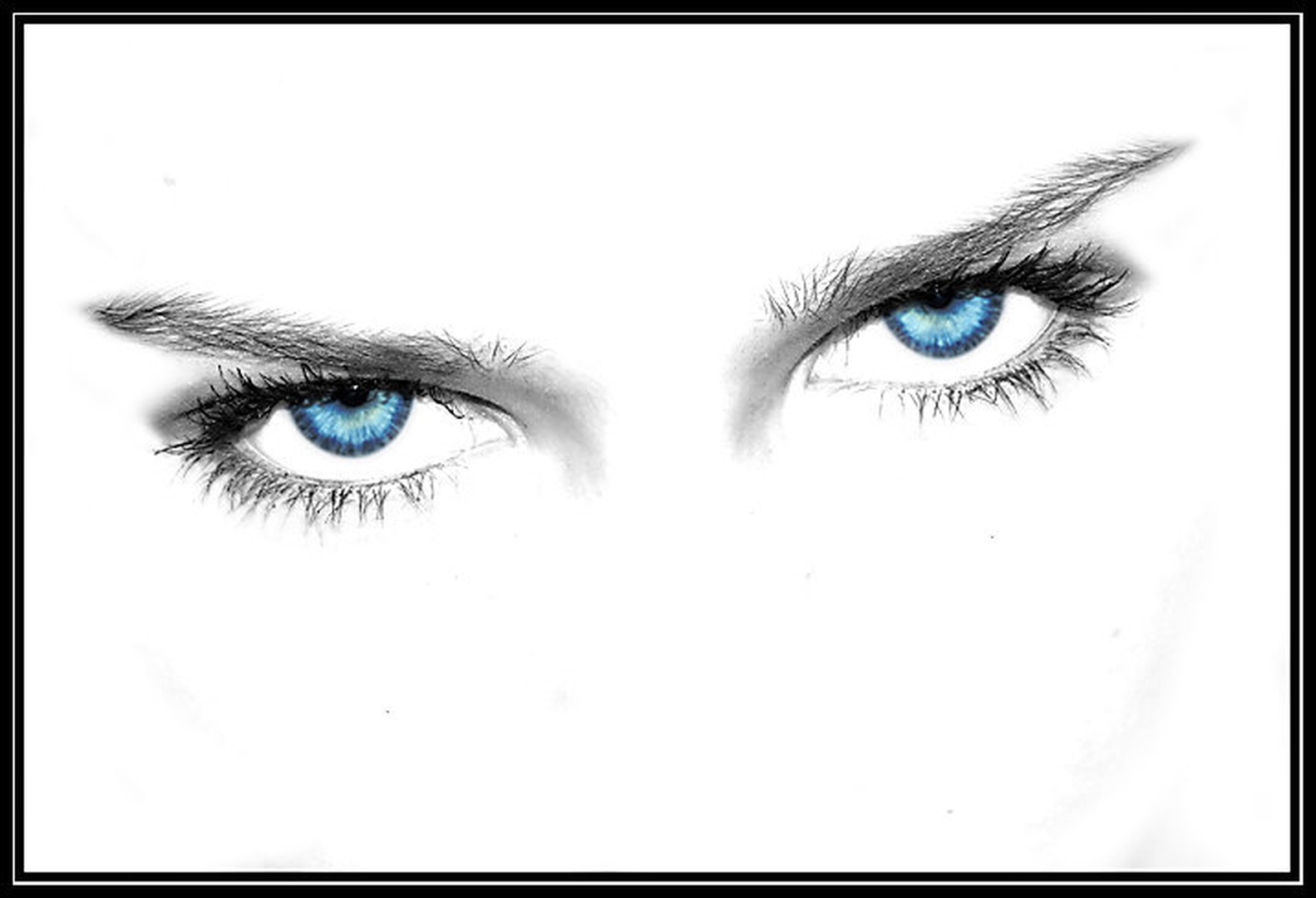 Moj si! by Sara Berdon