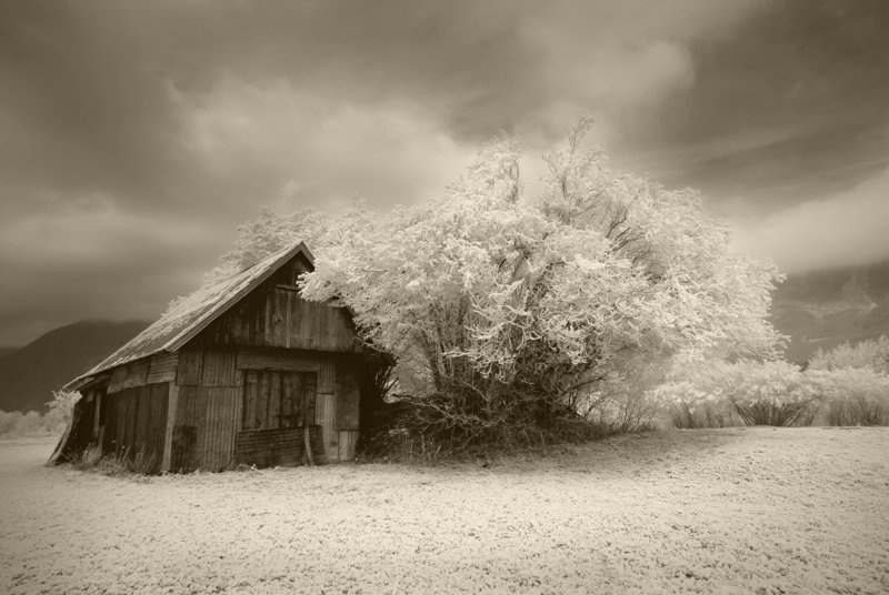 Old cottage by Sara Berdon