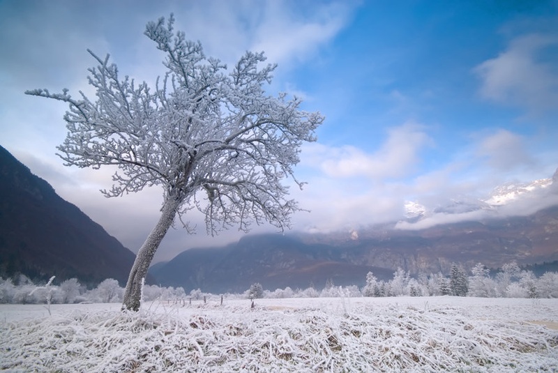 Cold winter morning by Sara Berdon