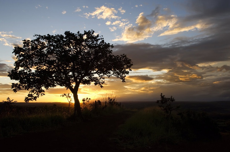Amazing sunset by Sara Berdon