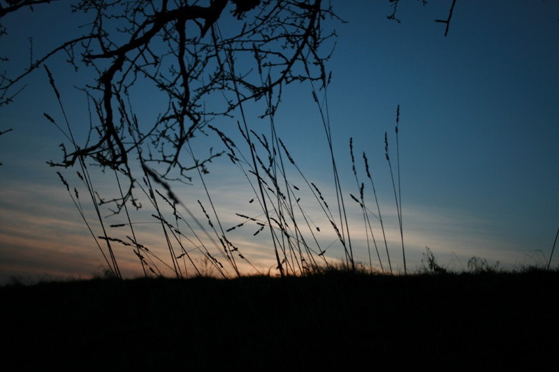 dolgčas by JANE BANE