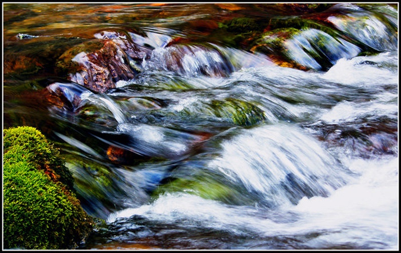 Water colors by rox17@email.si
