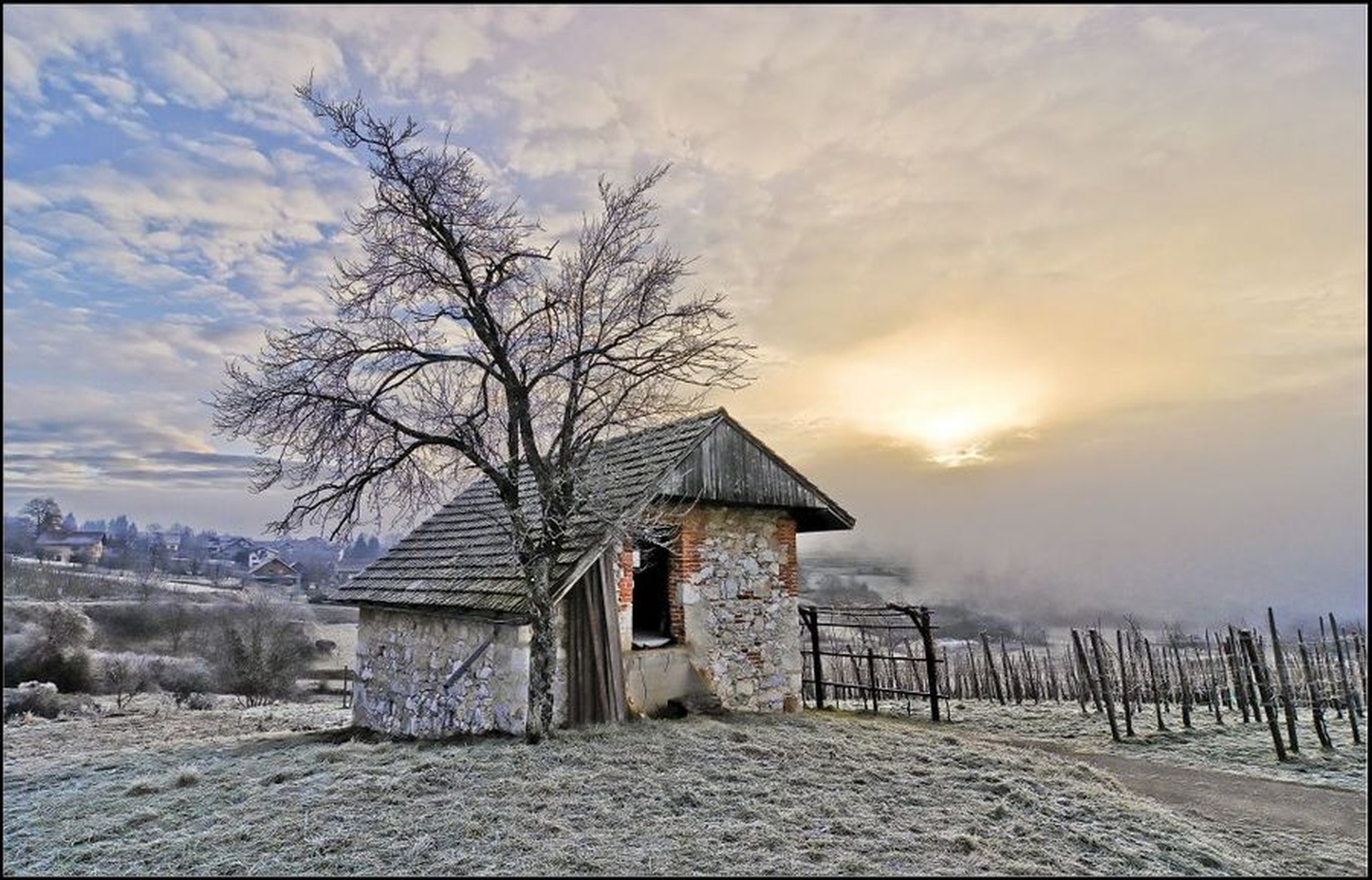 Jutro v vinogradu by Andrej N
