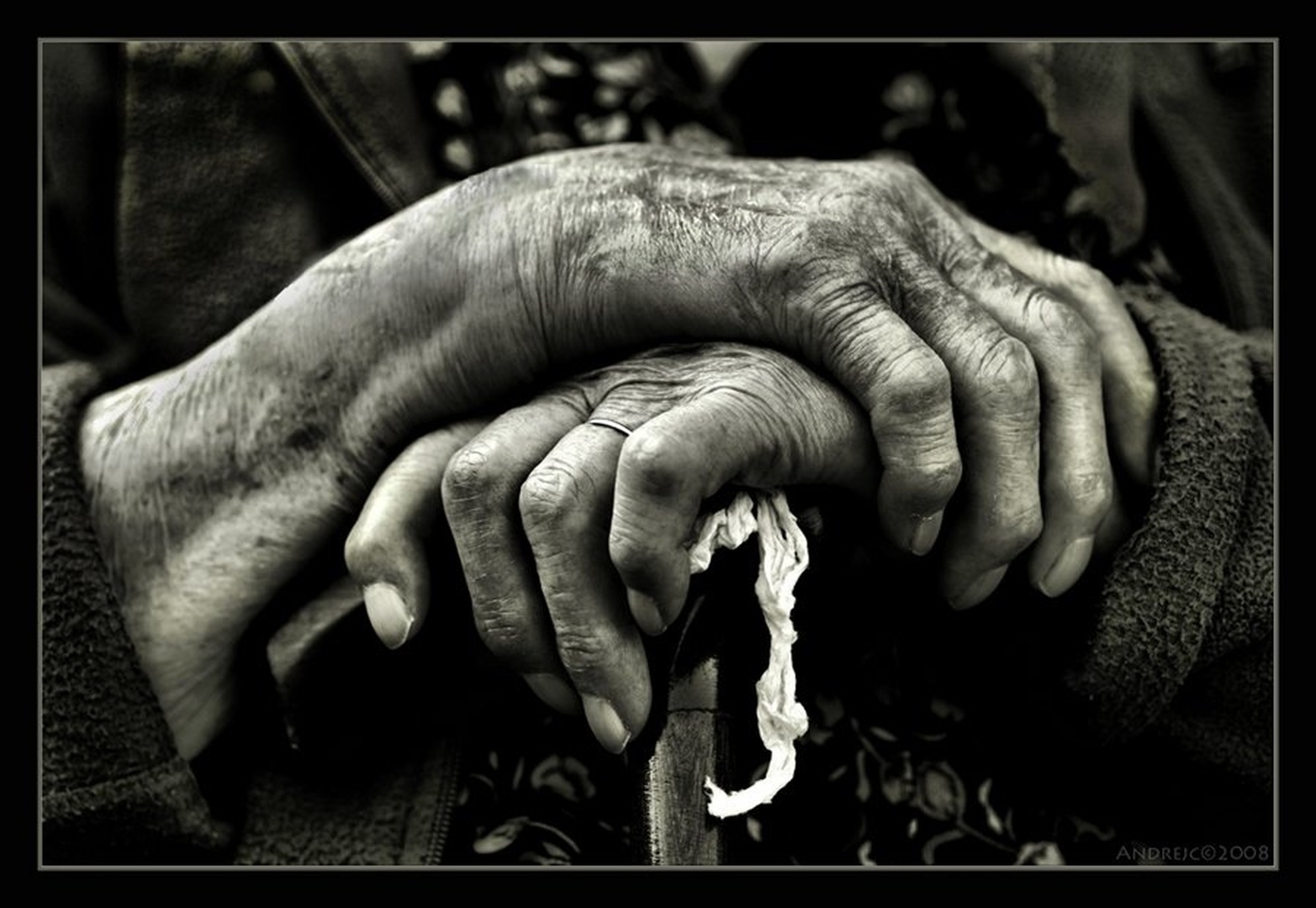 91 let by Andrej N
