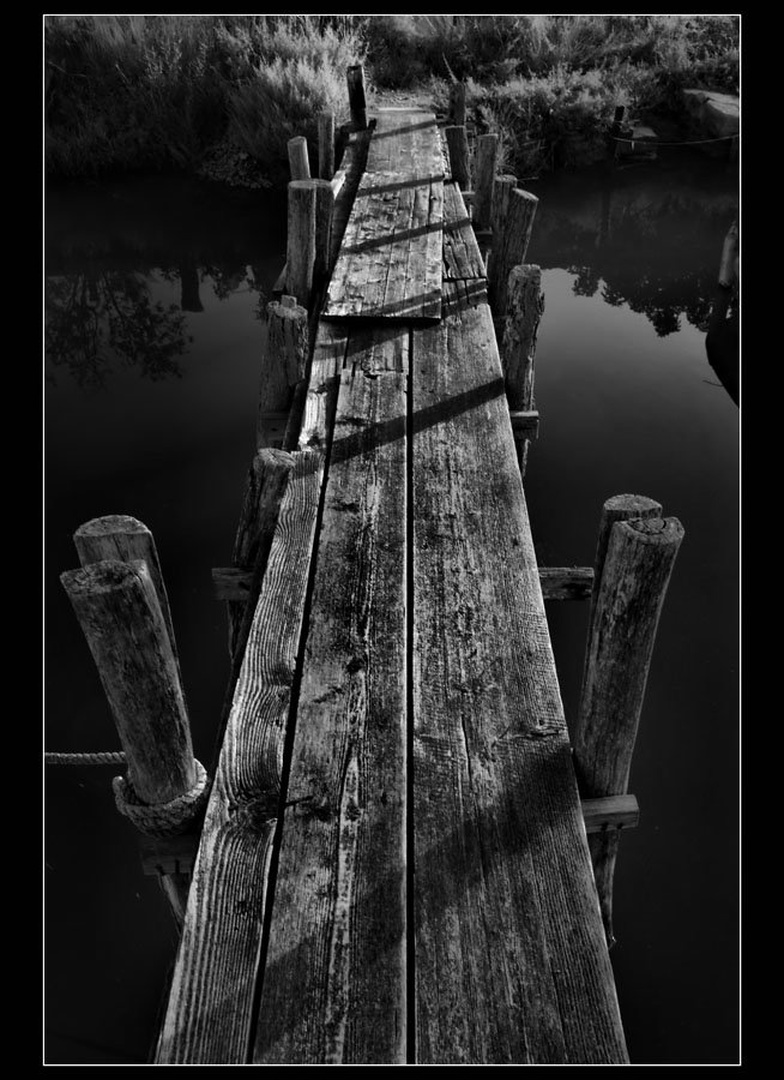 Pomol by Andrej N