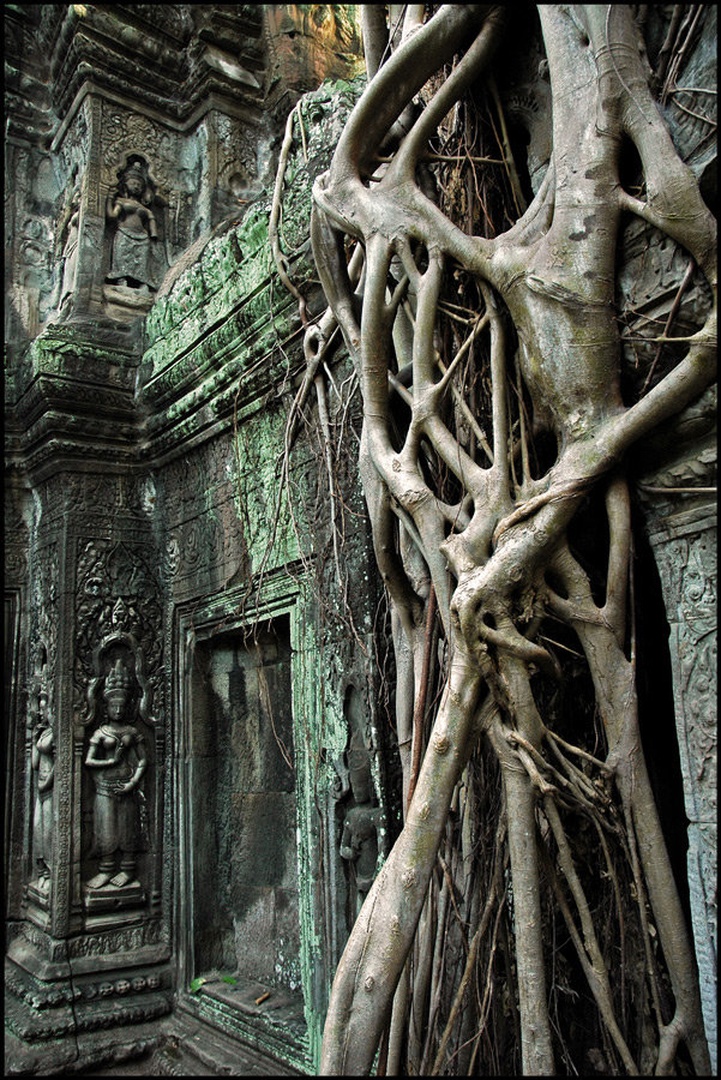 Ta Prohm tempelj by Blaz Dolenc