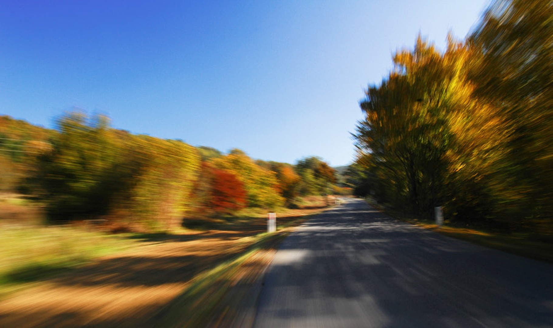 SPEED by
