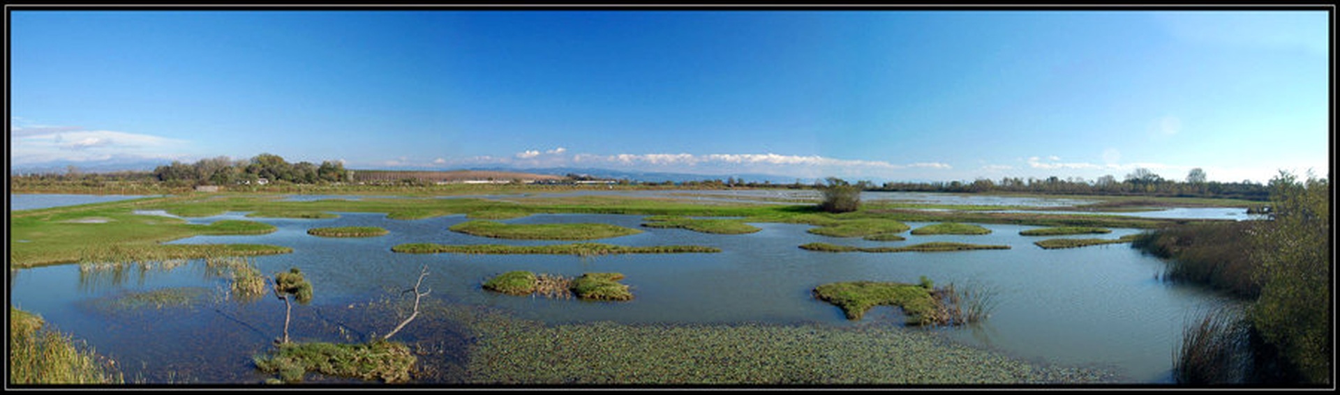 Panorama by