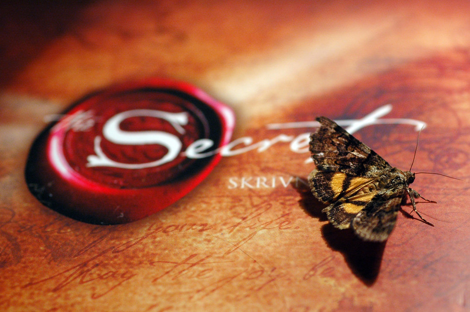 Secret by