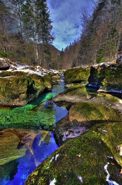 Svežina by fisheye