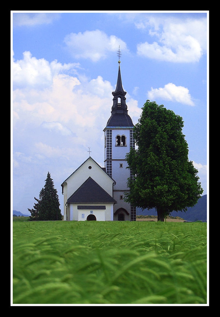 suha by Borut Primožič