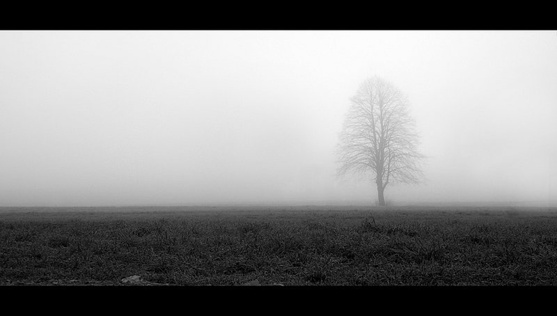 jutro by Borut Primožič