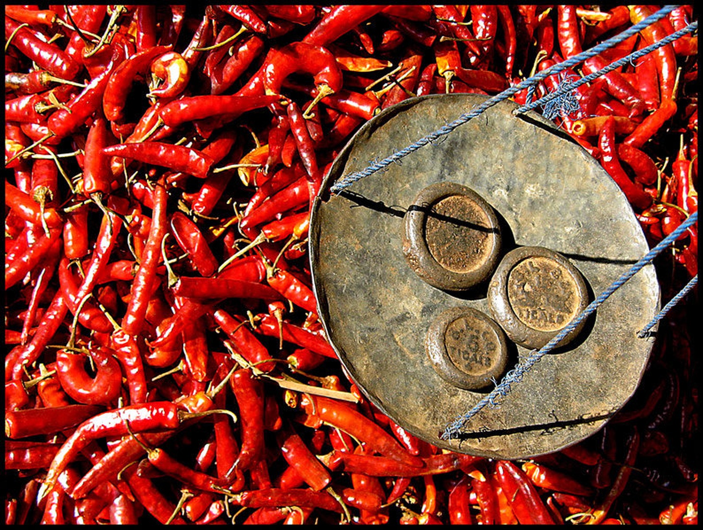 chili by mateja kefer