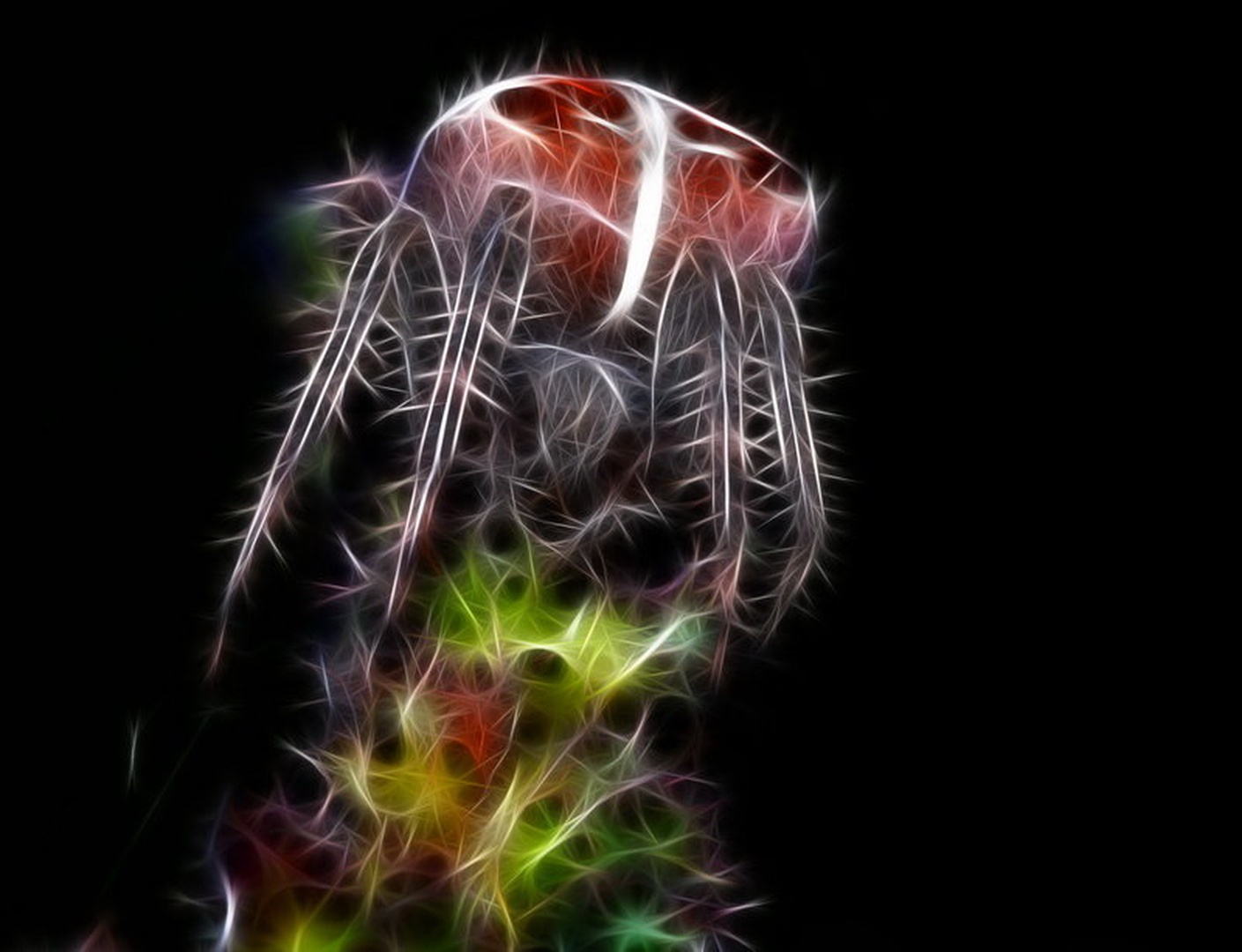 FireSpider by Peter Mlakar