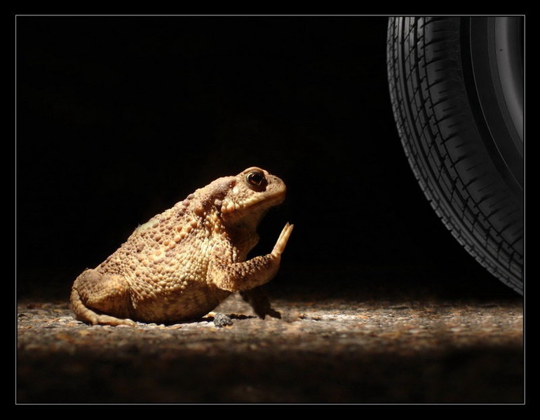 STOP! by Peter Mlakar