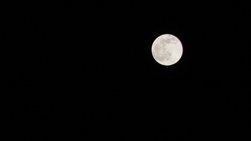 Luna by oliver