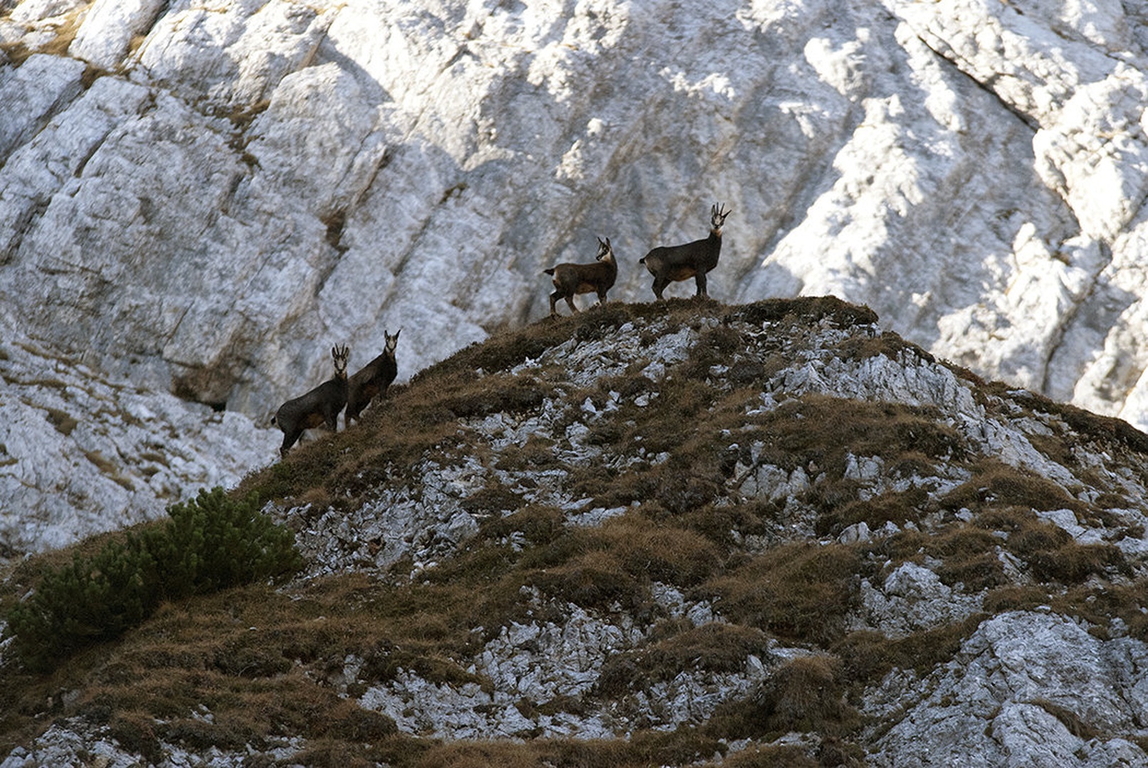Mame in otroci... by blaž ocvirk