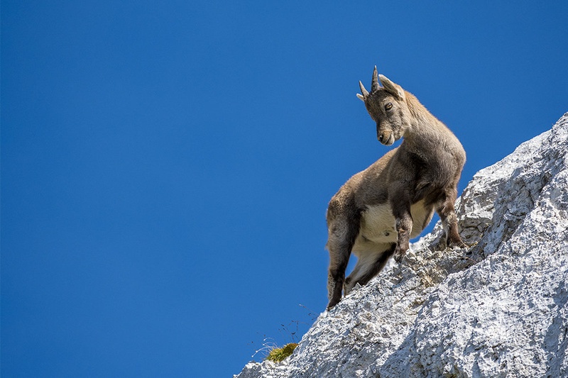Življenje na robeh... by blaž ocvirk