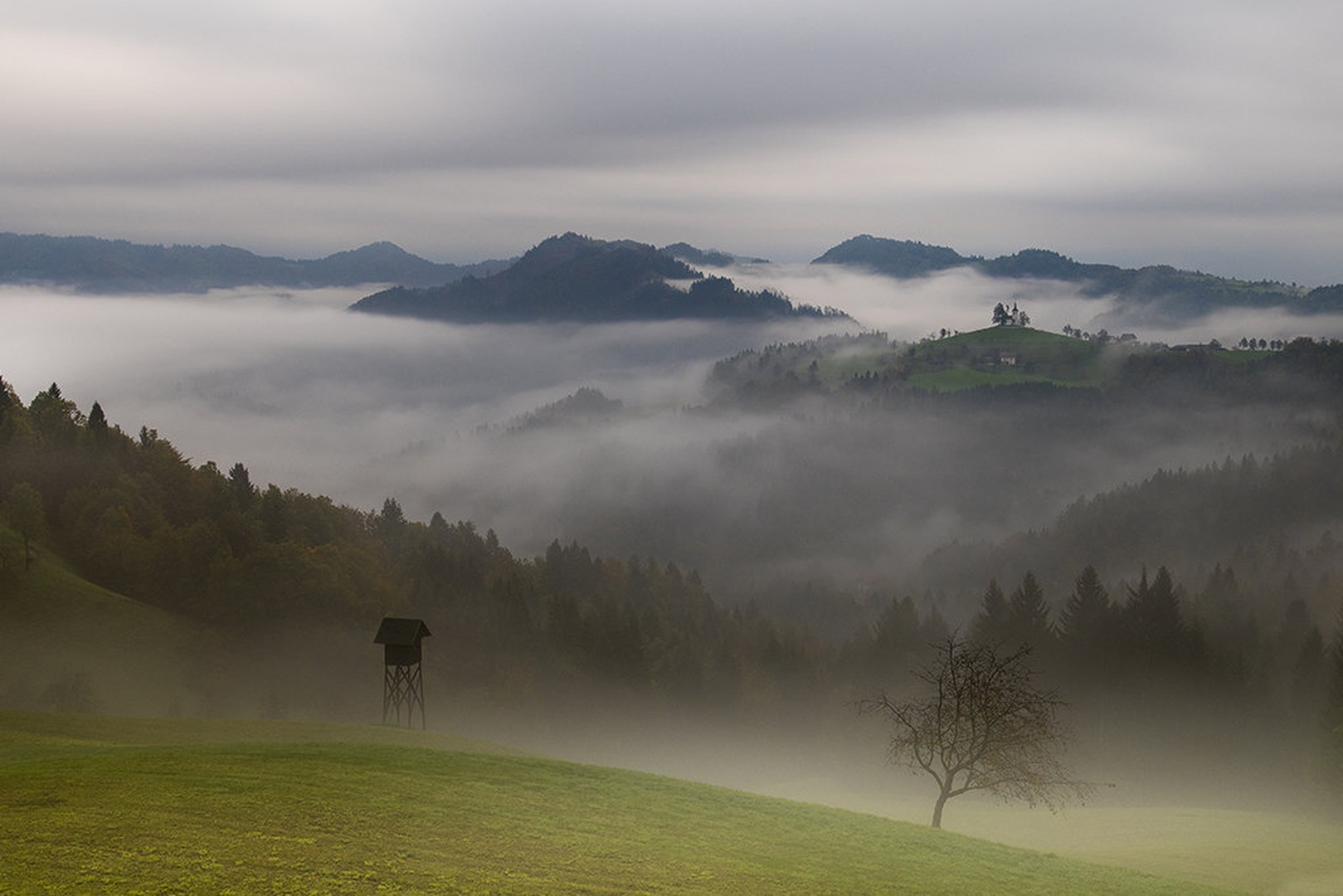 Jutro je najlepše zjutraj by blaž ocvirk