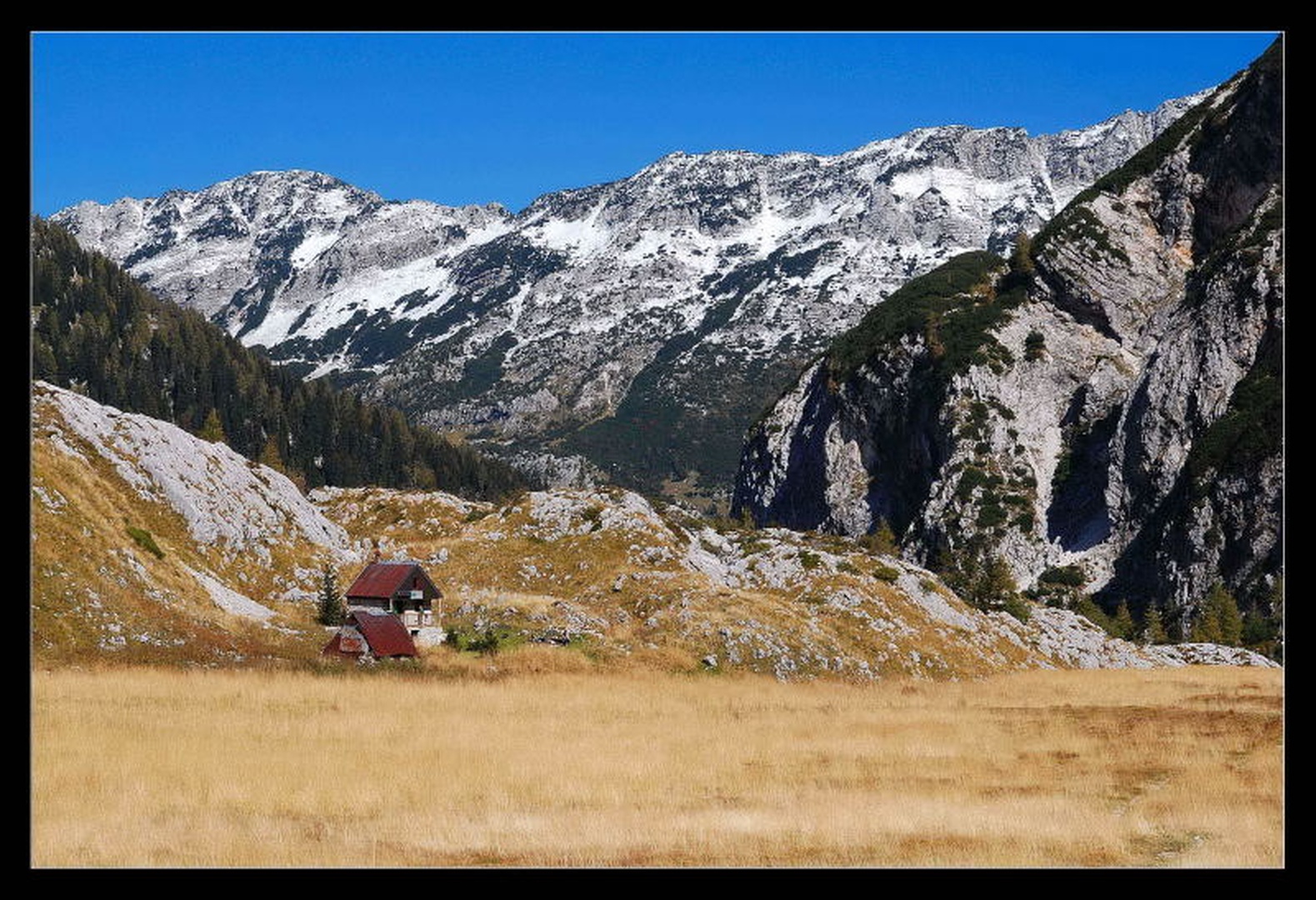 jesenska pravljica by blaž ocvirk