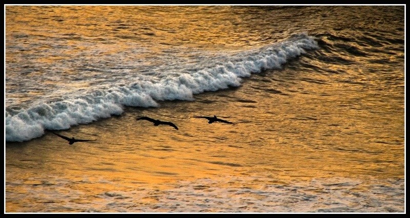 sunset wave by Martin K