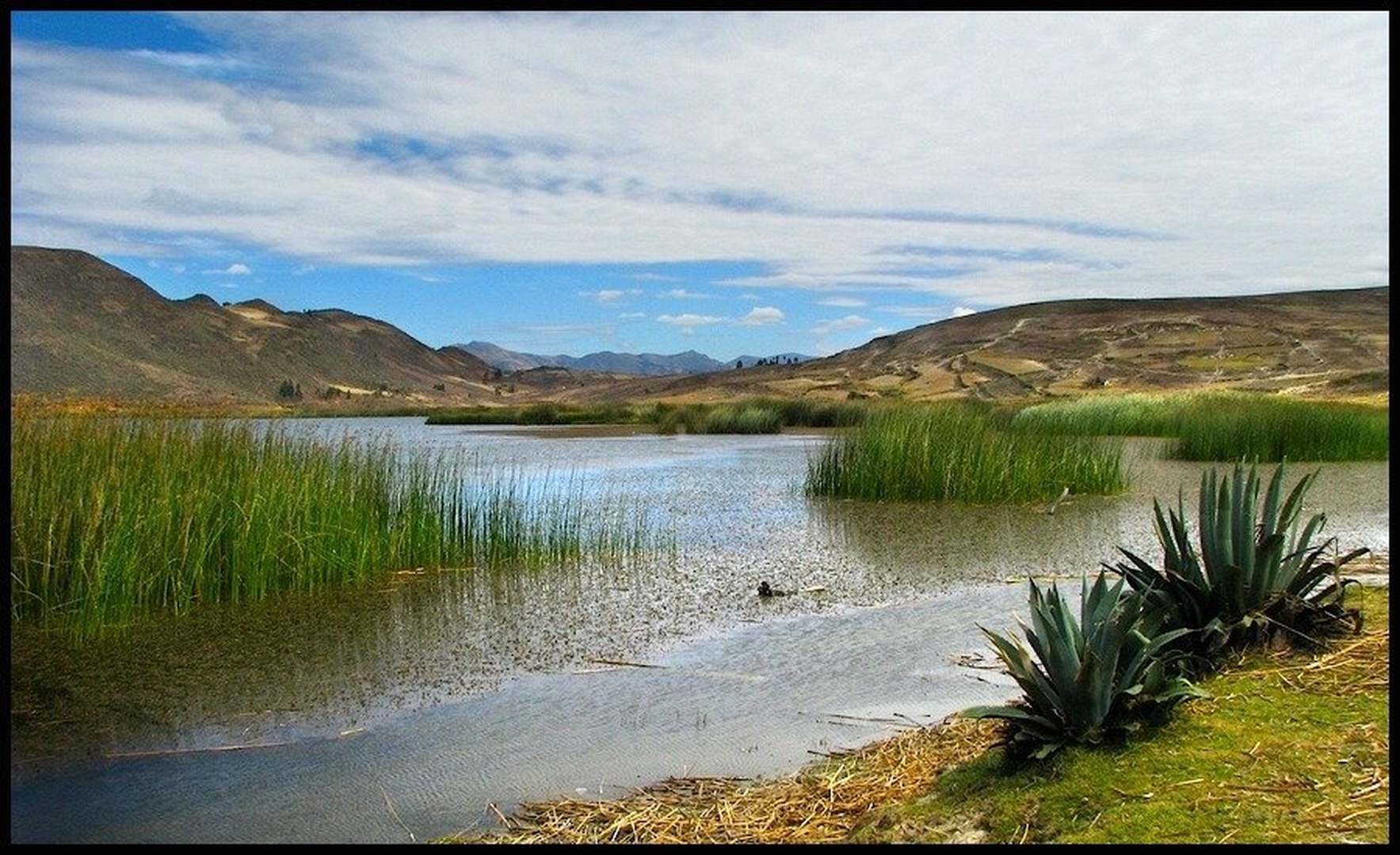 San Nicolas by Martin K