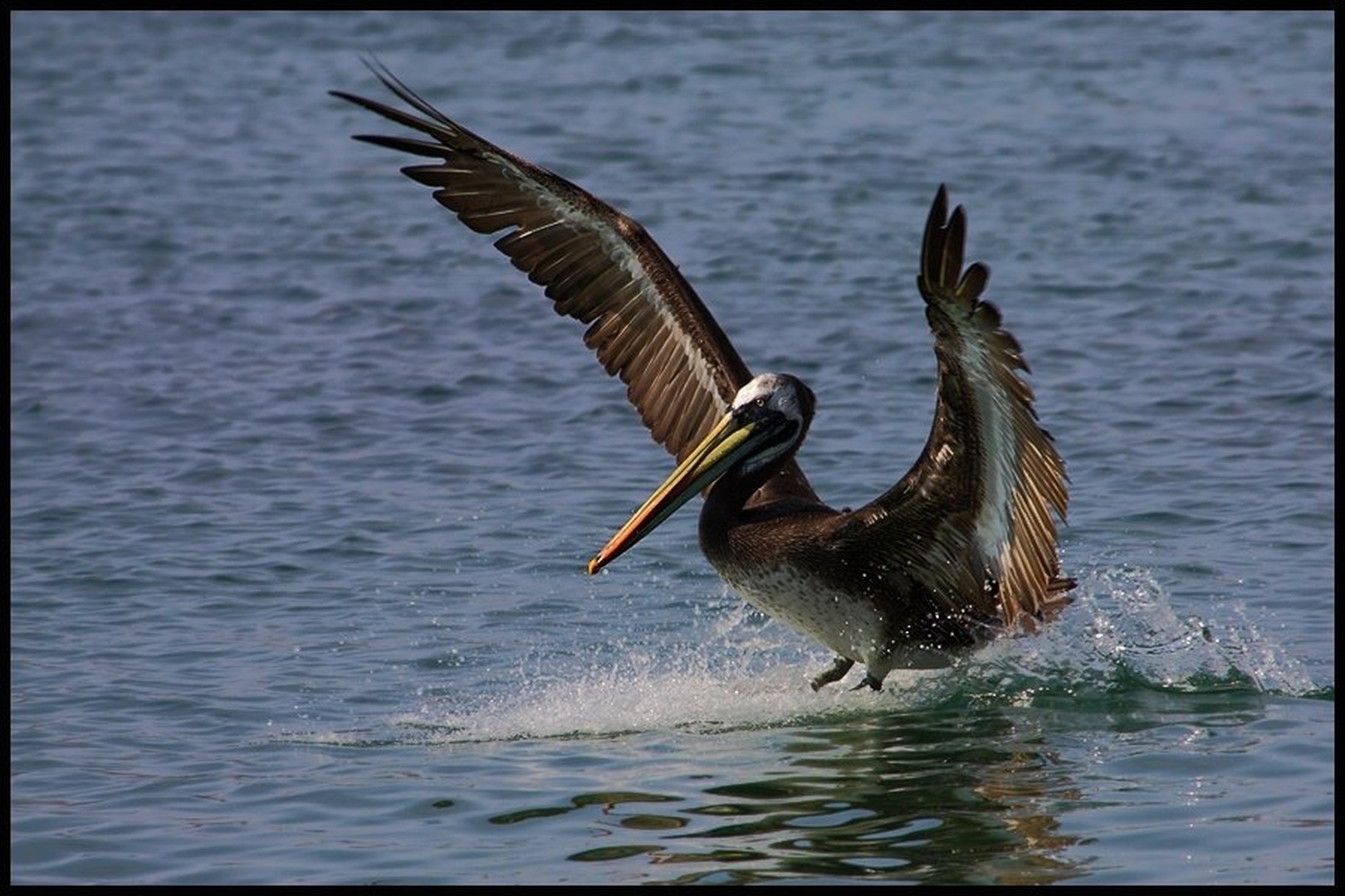 touchdown by Martin K