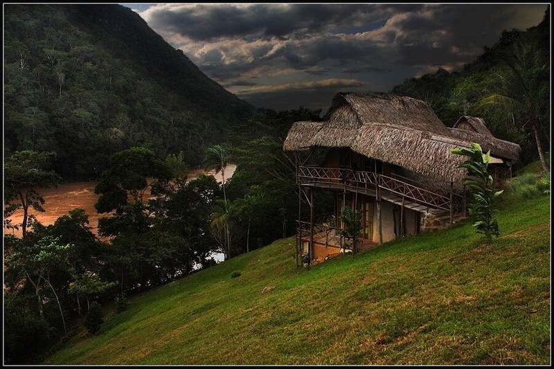 jungle house by Martin K
