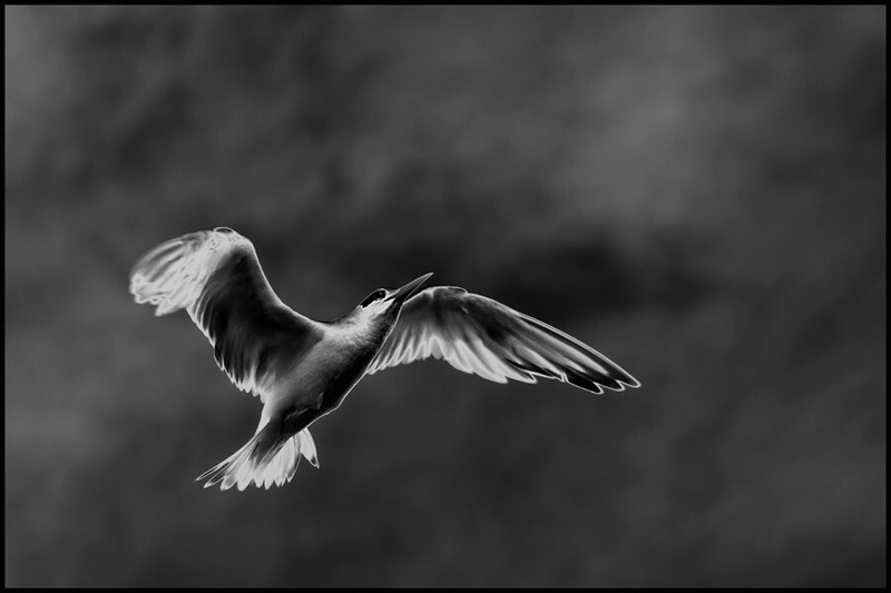v nebesa by Martin K